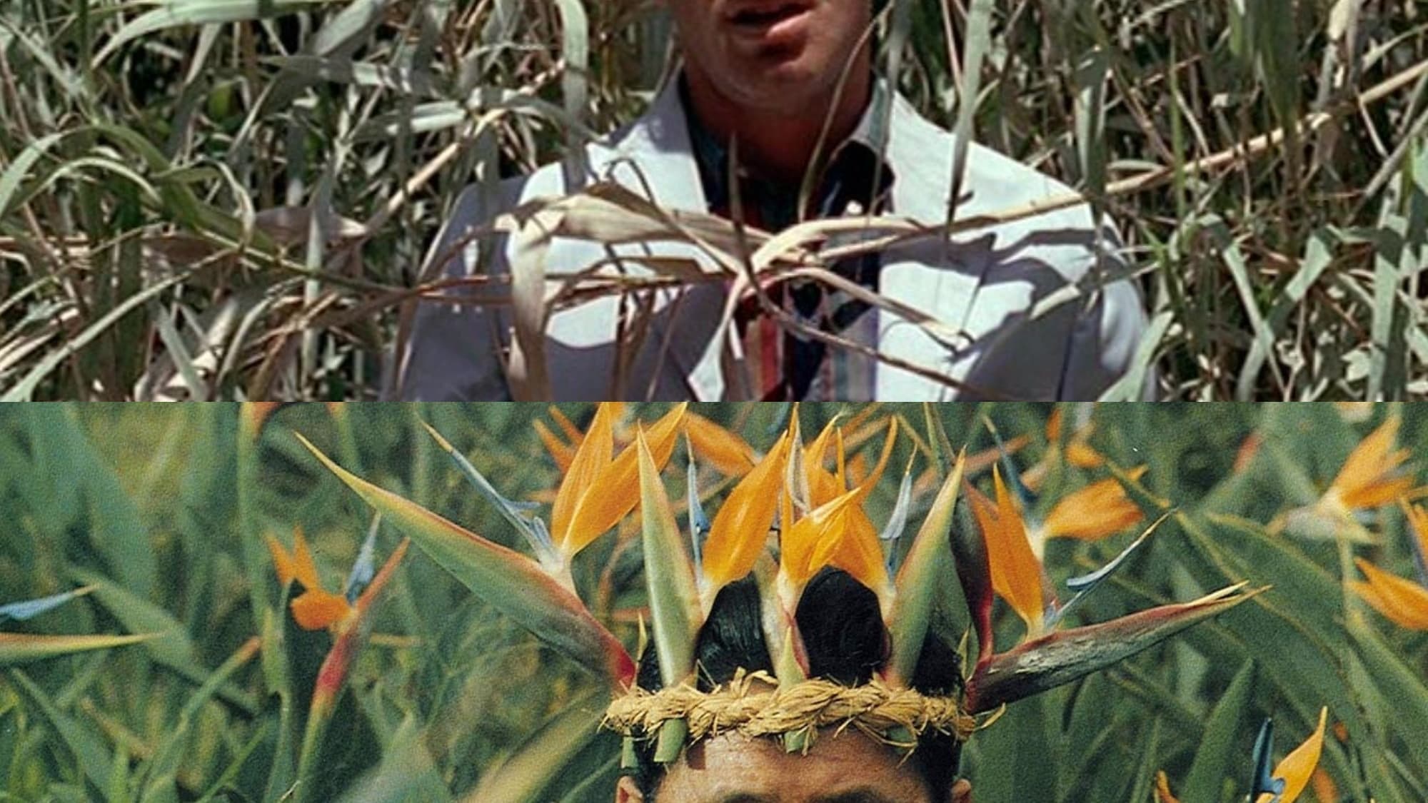 "Pierrot le Fou" (1965) / "Jugatsu" (1990) "Pierrot le Fou" (1965) / "Jugatsu" (1990)