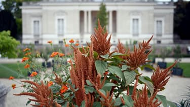 Le Château de Bagatelle, au bois de Boulogne, fait partie des biens immobiliers de la ville de Paris qui sont aujourd'hui vides ou quasi-inoccupés.