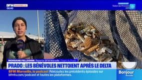 "Clean my Delta": après le festival, des bénévoles nettoient les plages du Prado à Marseille