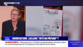 Inflation alimentaire: "Les distributeurs, les industriels et l'État sont tous les trois responsables", pour Karine Jacquemart (directrice de Foodwatch)