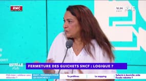 Fermeture des guichets SNCF : "C'est logique dans une société qu'on conduit vers la déshumanisation la plus totale", dénonce Yaël Mellul
