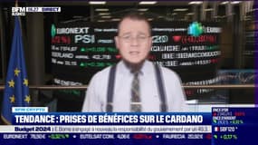 BFM Crypto: Prises de bénéfices sur le Cardano - 20/12