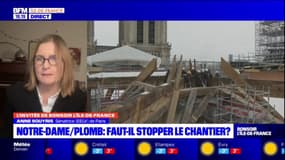 Notre-Dame de Paris: faut-il stopper le chantier? 