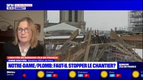 Notre-Dame de Paris: faut-il stopper le chantier? 