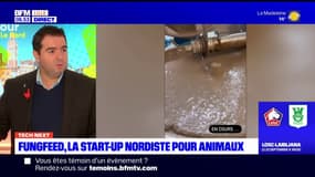 Tech Next: Fungfeed, la start-up nordiste pour animaux