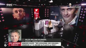Polémique Zemmour : "Un immigré n'est pas une race, donc il n'y a juridiquement pas de racisme !" Gilles-William Goldnadel