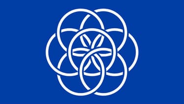 Le drapeau international de la planète Terre