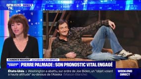 Pierre Palmade: à la suite d'un accident, son pronostic vital engagé - 10/02