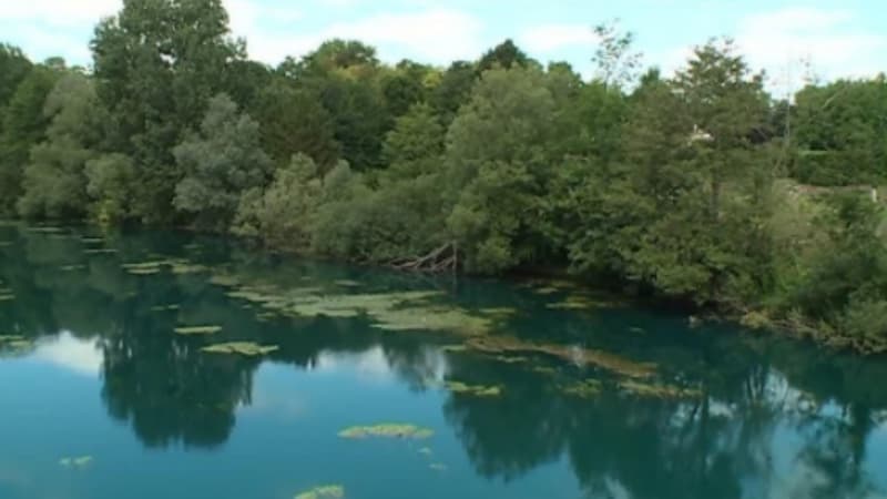 Une rivière de Neufchâtel-sur-Aisne dans l'Aisne qui a viré au bleu marine le 15 juillet 2017.