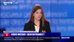 Story 3 : Le virus mutant est-il déjà en France - 21/12