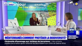 "On renverse la vision: la nature est partout et on s'octroie des passages": la vision évolutive de la protection maritime 