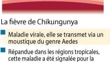 LE CHIKUNGUNYA