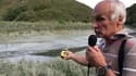 Les algues vertes ont-elles tué en Bretagne?