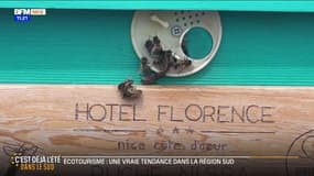 Tourisme écoresponsable: l'hôtel Florence de Nice se démarque dans l'écotourisme
