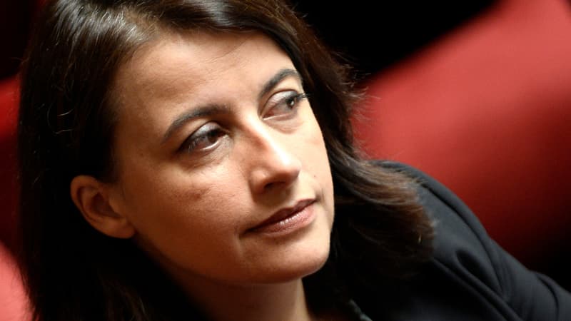 Cécile Duflot, ici en  octobre 2014, a été entendue comme témoin dans le cadre de l'enquête préliminaire visant Denis Baupin.