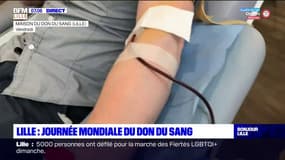 La journée mondiale du don du sang à Lille