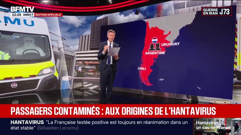 Passagers contaminés, Ushuaïa, croisière: aux origines de l'hantavirus