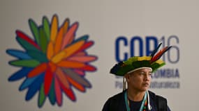 Un indigène brésilien à la COP16 sur la biodiversité, au Pacific Event Center à Cali, en Colombie, le 20 octobre 2024.