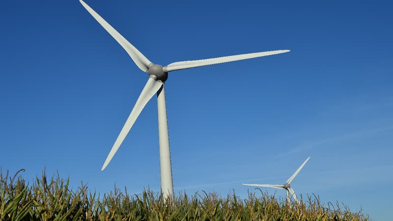 GE a acquis le fabricant danois de pales LM Wind Power (image d'illustration)