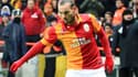 Wesley Sneijder