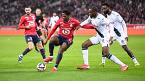 Jonathan David, attaquant du Losc, lors du match Lille-Le Havre, 21e journée de Ligue 1, 8 février 2025