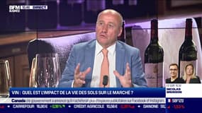 Idée de placements: Quel est l'impact de la vie des sols sur le marché du vin ? - 06/07