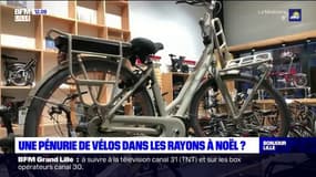 Lille: vers une pénurie de vélos à l'approche de Noël 