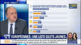 Gilets Jaunes: précisions sur notre sondage pour les européennes