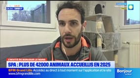 L'invité de Bonjour Lille du mardi 20 janvier 2026 - Xavier Schmitt