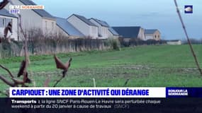 Carpiquet: une zone d'activité qui dérange