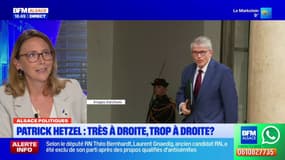 "Patrick Hertzel, c'est la personne qui a voté contre tout ce que les Français voulaient dernièrement", dénonce la députée EELV Sandra Regol