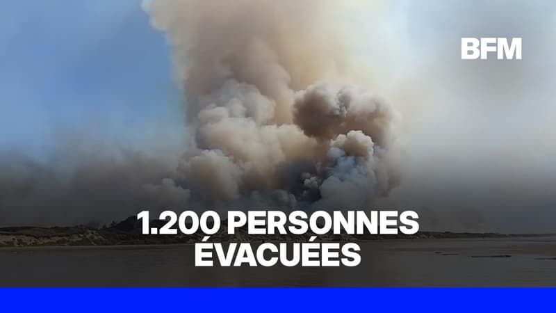 Plusieurs incendies se déclenchent sur la Côte d'Opale et provoquent un important panache de fumée