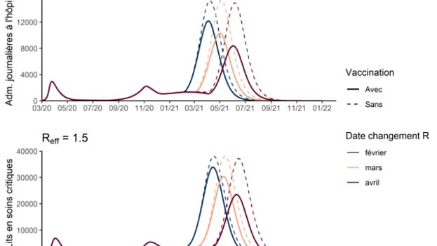 L'effet de la campagne de vaccination selon le modèle mathématique de la haute Autorité de Santé. 