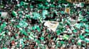 ASSE : L'association "Rouge Direct" interpelle Maracineanu pour des chants homophobes 