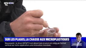Ils traquent les micro-plastique sur les plages pour sensibiliser à la pollution