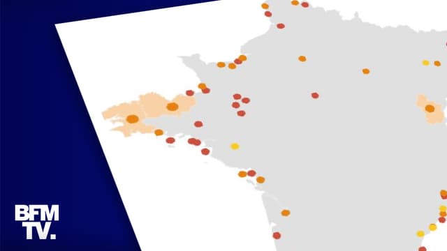 Infographie
