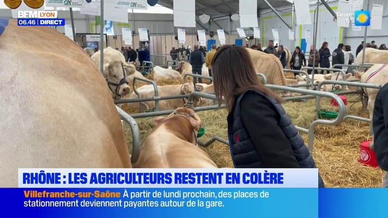 Rhône: les agriculteurs ne décolèrent pas depuis leur mobilisation historique 