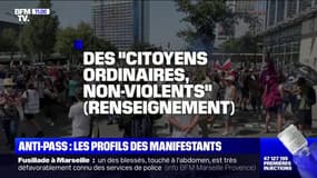 Anti-pass: les profils des manifestants