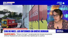 CHU de Nice: les internes en grève ce vendredi