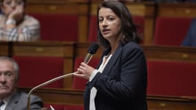 Cécile Duflot a demandé au gouvernement de mettre un terme aux "projets stupides et dangereux" citant également la ferme des 1.000 vaches.
