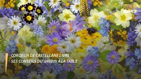  Cordelia de Castellane livre ses conseils du jardin à la table 