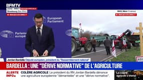 Colère agricole: pour Jordan Bardella "les politiques et initiatives de l'UE contribuent à une crise actuelle partout sur le continent" 