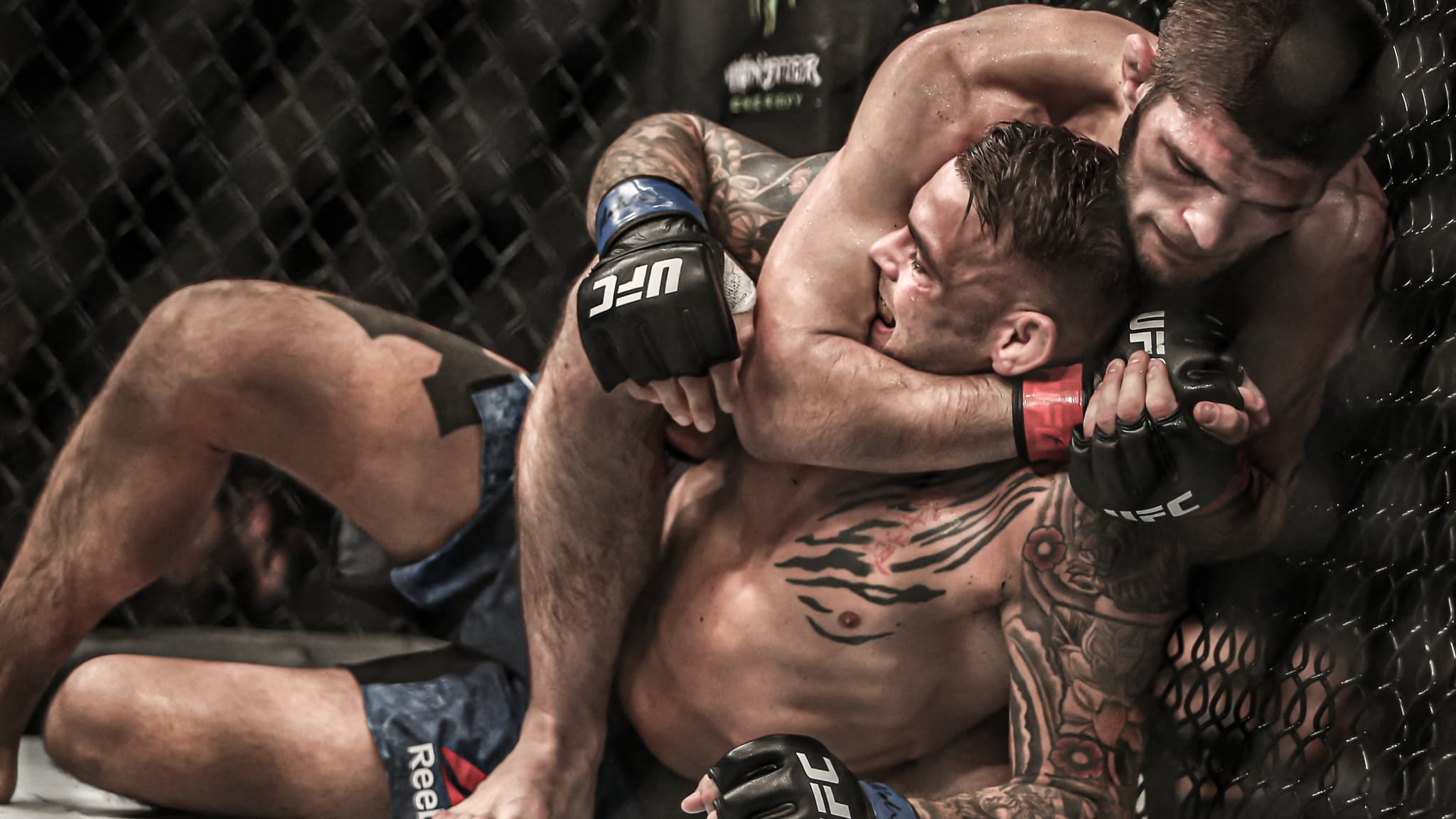 Khabib Nurmagomedov soumet Dustin Poirier lors de leur combat pour la ceinture incontestée des -70kg à l'UFC, en 2019. Khabib Nurmagomedov soumet Dustin Poirier lors de leur combat pour la ceinture incontestée des -70kg à l'UFC, en 2019.