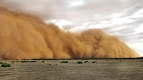 Tempête de sable près de Mullengudgery dans les Nouvelles Galles du Sud, le 17 janvier 2020, en Australie