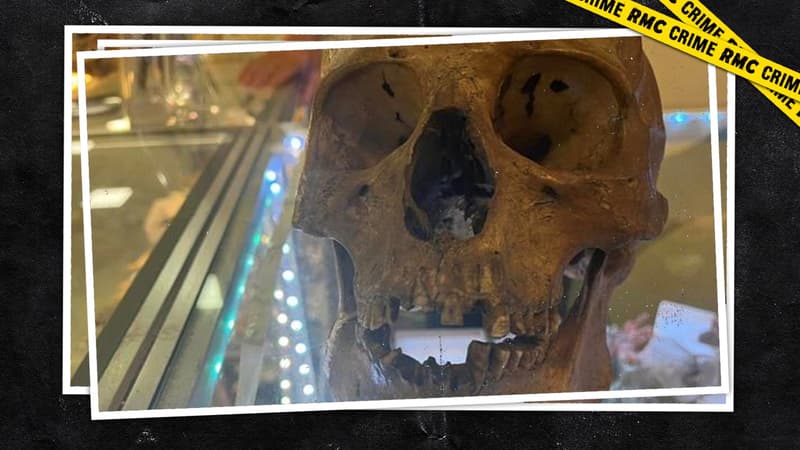 Un crâne humain a été retrouvé dans une friperie de Floride, aux États-Unis 