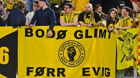 Fan Bodo/Glimt
