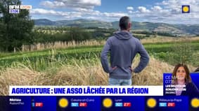Une association d'aide à l'installation d'agriculteurs lâchée par la région Auvergne-Rhône-Alpes