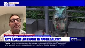 Rats à Paris: un expert alerte l'Etat sur les risques sanitaires