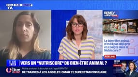 "Nutriscore" du bien-être animal: quels seront les critères ? BFMTV répond à vos questions
