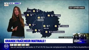 Météo Paris Ile-de-France: une journée fraîche mais ensoleillée en Ile-de-France avec 15°C à Paris dans l'après-midi